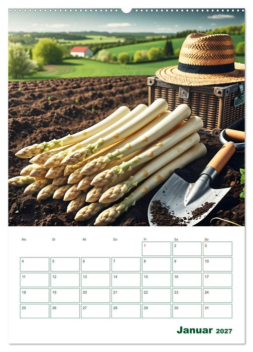Spargelglück – von der Ernte bis zum Genuss (CALVENDO Premium Wandkalender 2027)