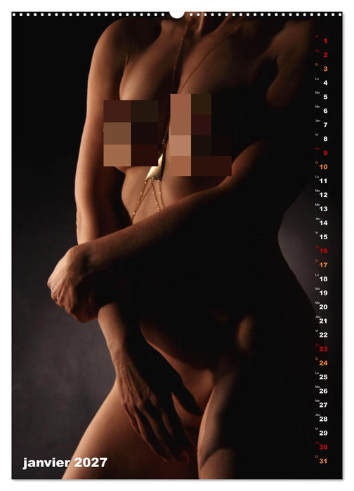L'or nu (CALVENDO Calendrier mensuel 2027)