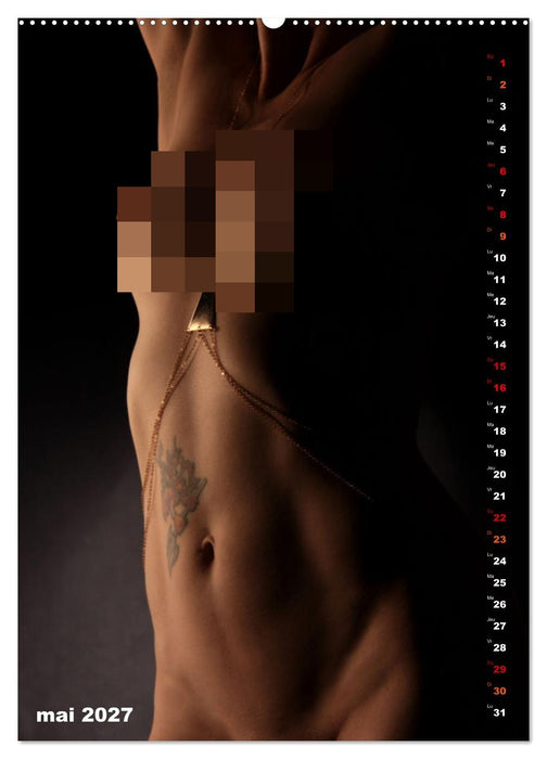 L'or nu (CALVENDO Calendrier mensuel 2027)