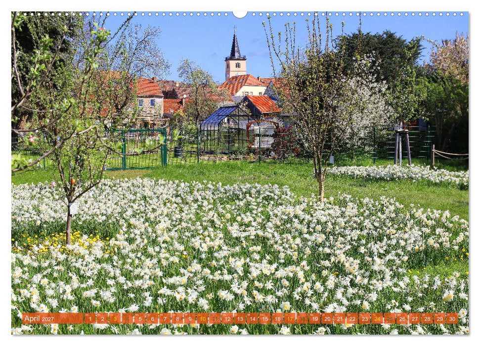 Brandenburg - Schöne Orte im Landkreis Potsdam-Mittelmark (CALVENDO Wandkalender 2027)