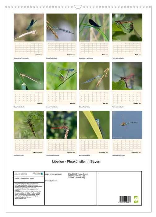 Libellen - Flugkünstler in Bayern (CALVENDO Wandkalender 2027)