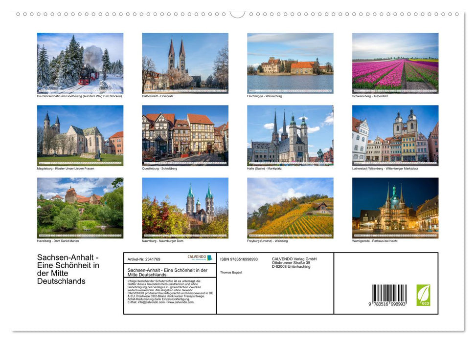 Sachsen-Anhalt - Eine Schönheit in der Mitte Deutschlands (CALVENDO Premium Wandkalender 2027)