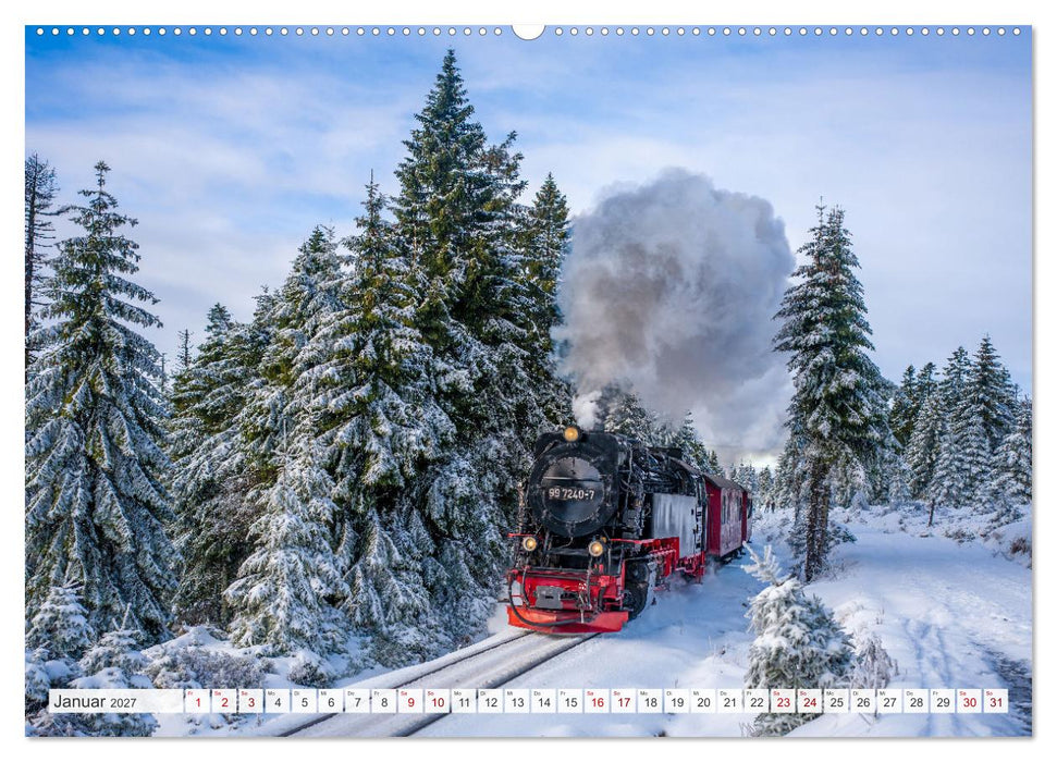 Sachsen-Anhalt - Eine Schönheit in der Mitte Deutschlands (CALVENDO Premium Wandkalender 2027)