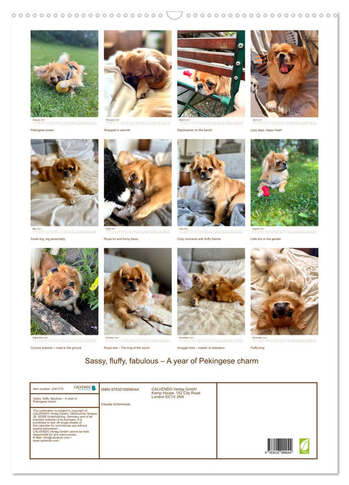 Sassy, fluffy, fabulous – A year of Pekingese charm (CALVENDO Monthly Calendar 2027)