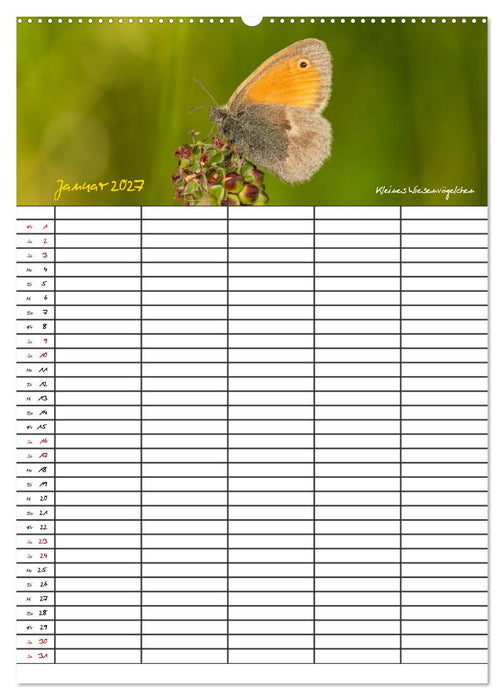 Schmetterlinge in Bayern (CALVENDO Wandkalender 2027)