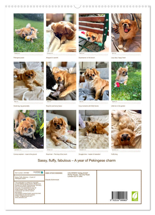 Sassy, fluffy, fabulous – A year of Pekingese charm (CALVENDO Premium-Calendar 2027)