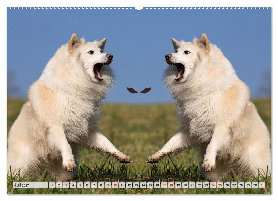 Mit doppelter Power durch das Jahr (CALVENDO Premium Wandkalender 2027)