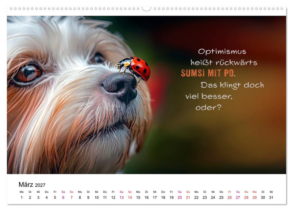 Tierische Klugscheißer (CALVENDO Wandkalender 2027)