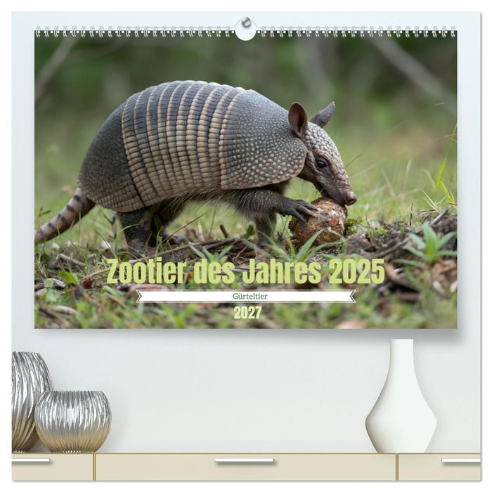 Zootier des Jahres 2025 - Gürteltier (CALVENDO Premium Wandkalender 2027)
