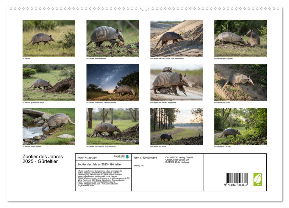 Zootier des Jahres 2025 - Gürteltier (CALVENDO Premium Wandkalender 2027)