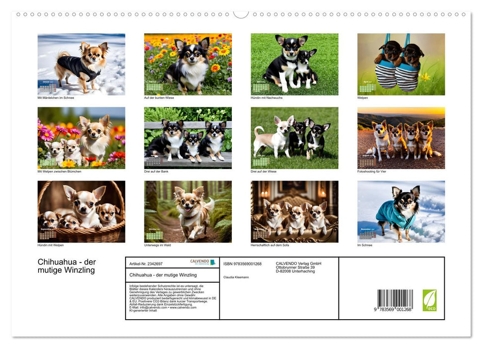 Chihuahua - der mutige Winzling (CALVENDO Premium Wandkalender 2027)