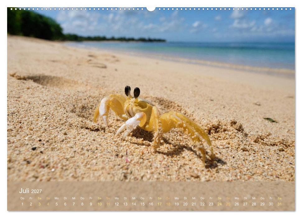 Guadeloupe - Karibische Traumstrände (CALVENDO Premium Wandkalender 2027)