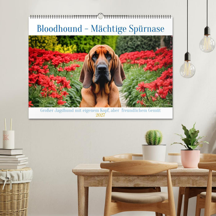 Bloodhound - Mächtige Spürnase (CALVENDO Wandkalender 2027)