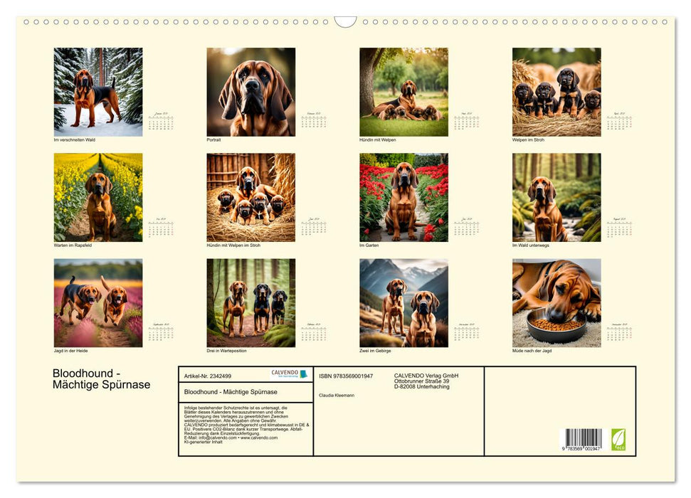 Bloodhound - Mächtige Spürnase (CALVENDO Wandkalender 2027)