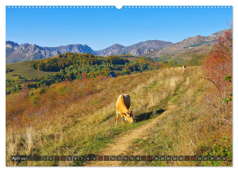 TransApuseni - Schönste Panoramastraße in Siebenbürgen (CALVENDO Premium Wandkalender 2027)