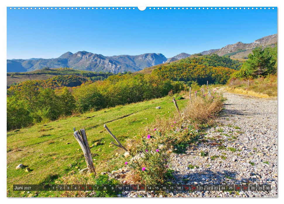 TransApuseni - Schönste Panoramastraße in Siebenbürgen (CALVENDO Premium Wandkalender 2027)