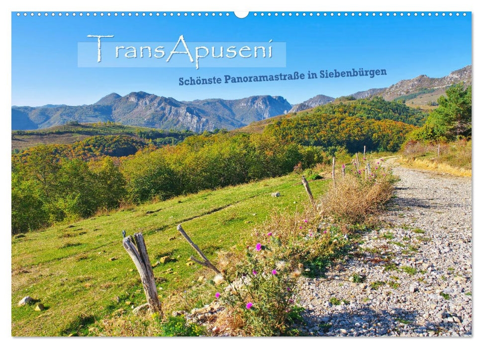 TransApuseni - Schönste Panoramastraße in Siebenbürgen (CALVENDO Wandkalender 2027)