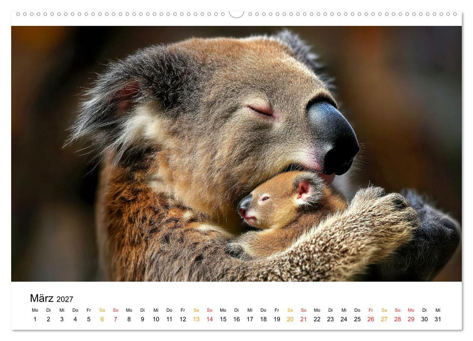 Tiermütter - die sanfte Seite der Wildnis (CALVENDO Wandkalender 2027)