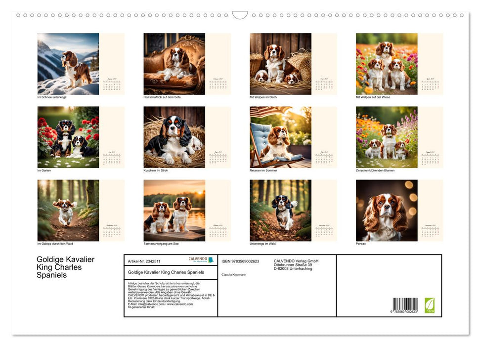 Goldige Kavalier King Charles Spaniels (CALVENDO Wandkalender 2027)
