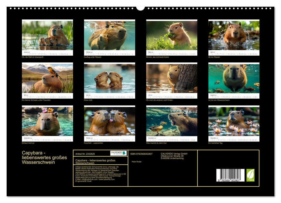 Capybara - liebenswertes großes Wasserschwein (CALVENDO Premium Wandkalender 2027)
