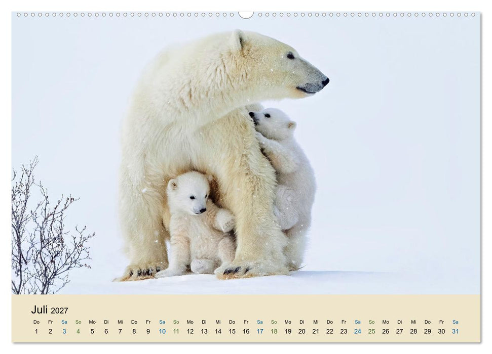 Tierkinder in Eis und Schnee (CALVENDO Premium Wandkalender 2027)