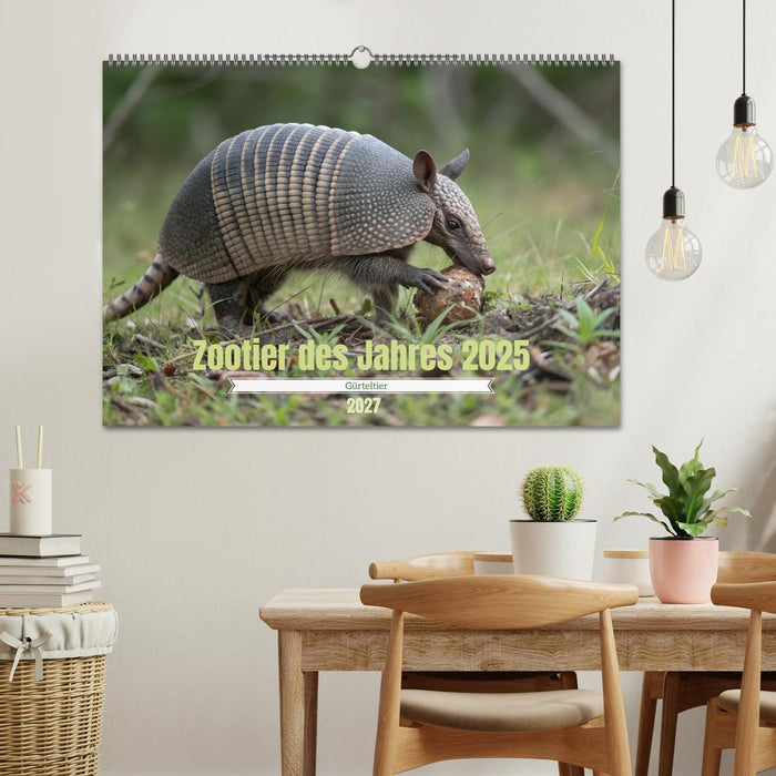 Zootier des Jahres 2025 - Gürteltier (CALVENDO Wandkalender 2027)
