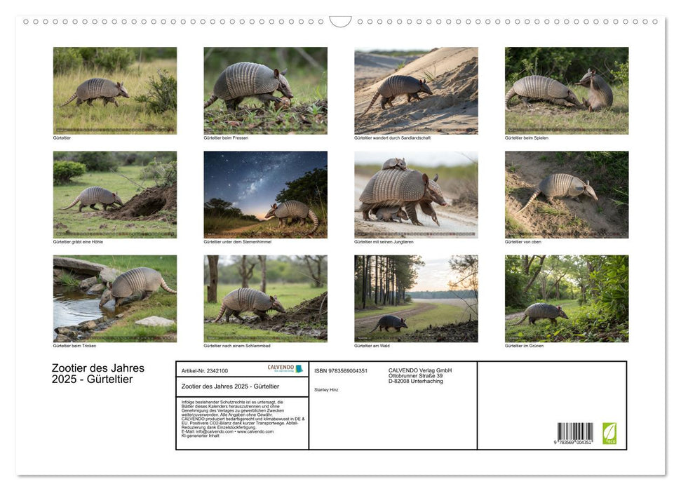 Zootier des Jahres 2025 - Gürteltier (CALVENDO Wandkalender 2027)