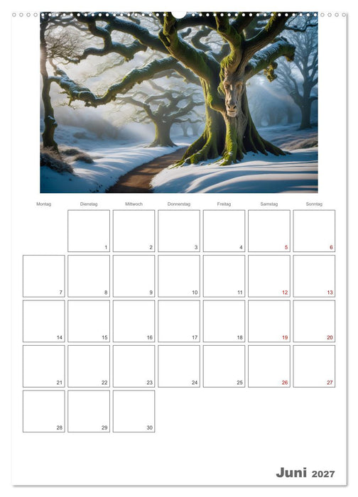 Der Zauberwald Eine geheimnisvolle Reise (CALVENDO Premium Wandkalender 2027)