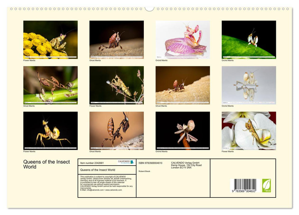 Queens of the Insect World (CALVENDO Premium-Calendar 2027)