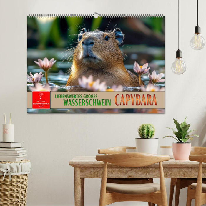 Capybara - liebenswertes großes Wasserschwein (CALVENDO Wandkalender 2027)