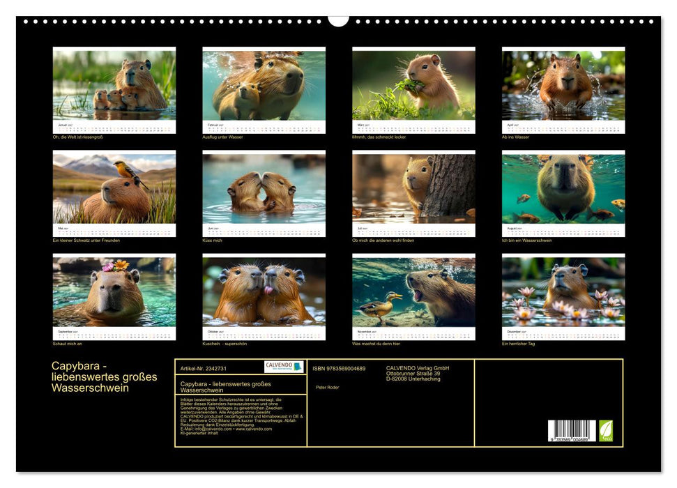 Capybara - liebenswertes großes Wasserschwein (CALVENDO Wandkalender 2027)