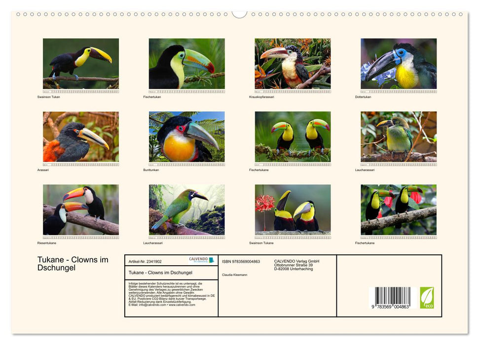 Tukane - Clowns im Dschungel (CALVENDO Premium Wandkalender 2027)