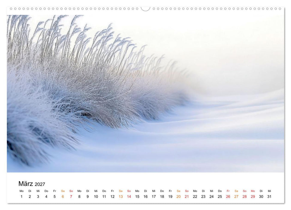 Winterzauber - Nordwind und Schneegestöber (CALVENDO Wandkalender 2027)