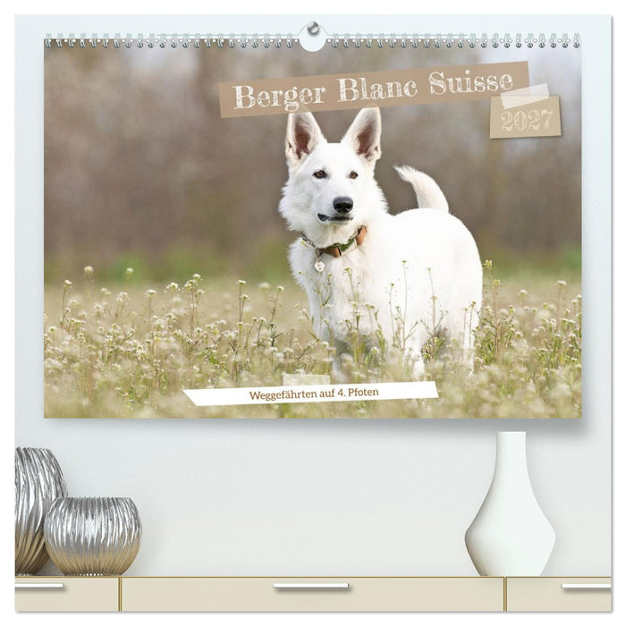Berger Blanc Suisse - Weggefährten auf 4 Pfoten (CALVENDO Premium Wandkalender 2027)