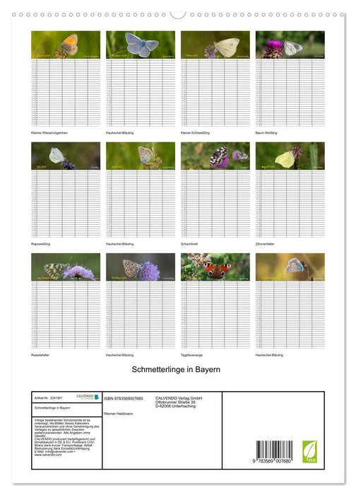 Schmetterlinge in Bayern (CALVENDO Premium Wandkalender 2027)