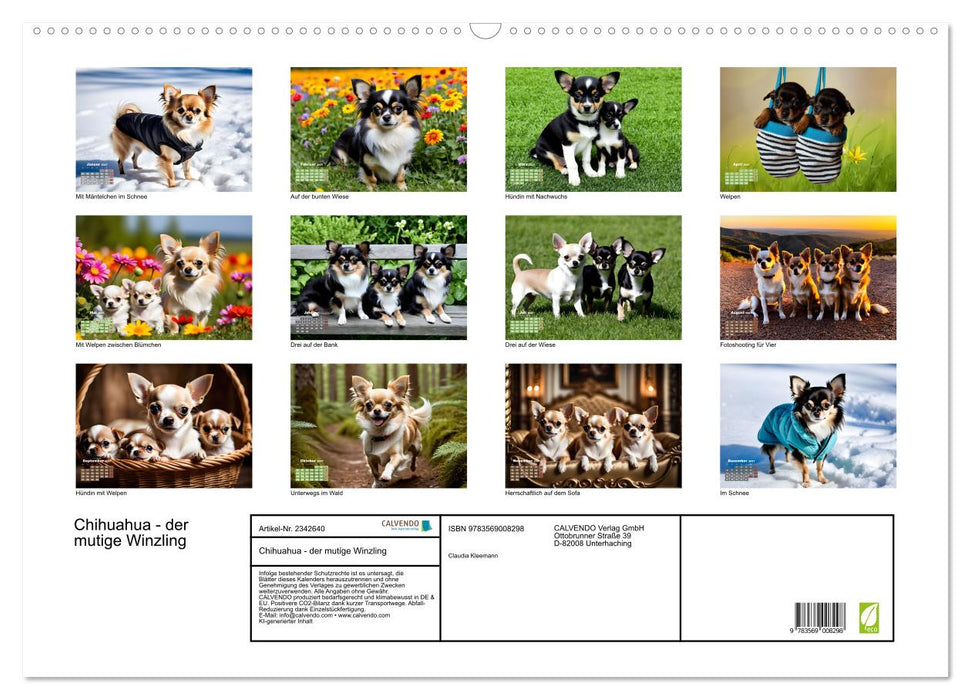 Chihuahua - der mutige Winzling (CALVENDO Wandkalender 2027)