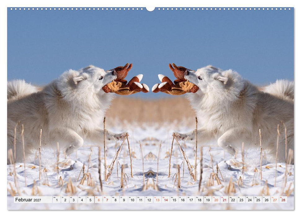 Mit doppelter Power durch das Jahr (CALVENDO Wandkalender 2027)