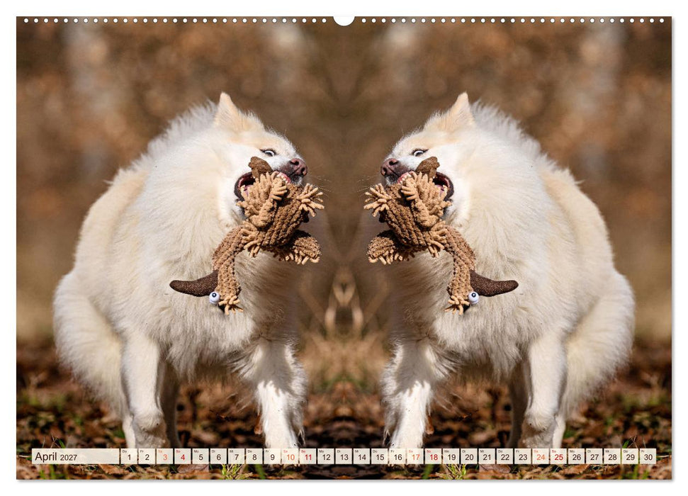 Mit doppelter Power durch das Jahr (CALVENDO Wandkalender 2027)