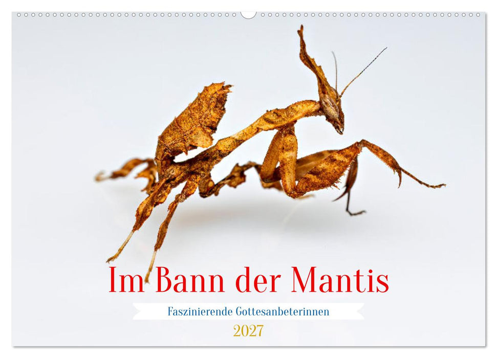 Im Bann der Mantis (CALVENDO Wandkalender 2027)