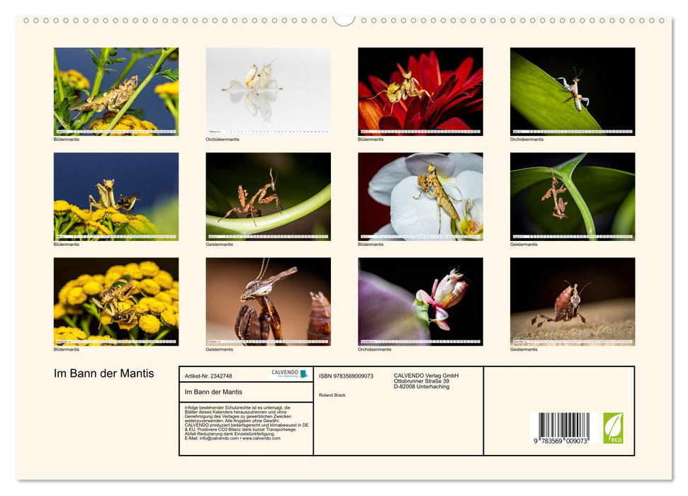 Im Bann der Mantis (CALVENDO Premium Wandkalender 2027)