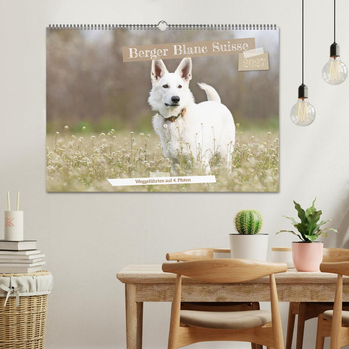 Berger Blanc Suisse - Weggefährten auf 4 Pfoten (CALVENDO Wandkalender 2027)