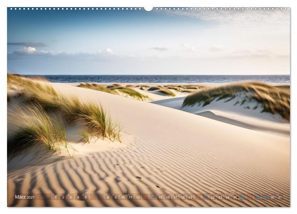 Sanddünen In der Wüste und am Meer (CALVENDO Premium Wandkalender 2027)