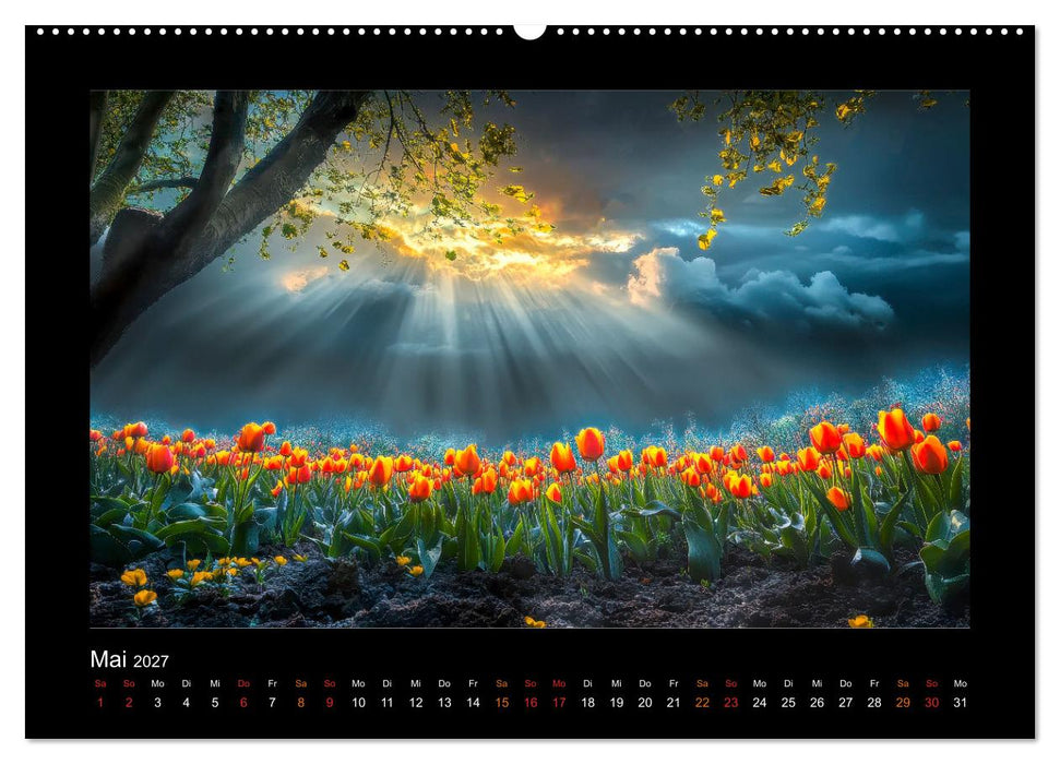 Im Wechselspiel der Jahreszeiten (CALVENDO Wandkalender 2027)