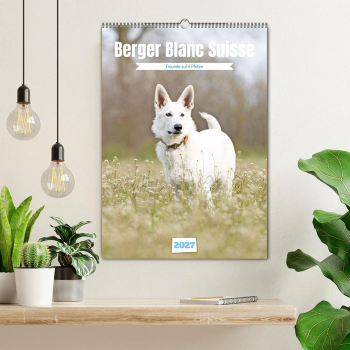 Berger Blanc Suisse - Freunde auf 4 Pfoten (CALVENDO Wandkalender 2027)