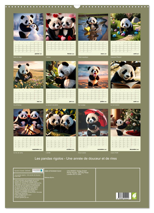 Les pandas rigolos - Une année de douceur et de rires (CALVENDO Calendrier mensuel 2027)