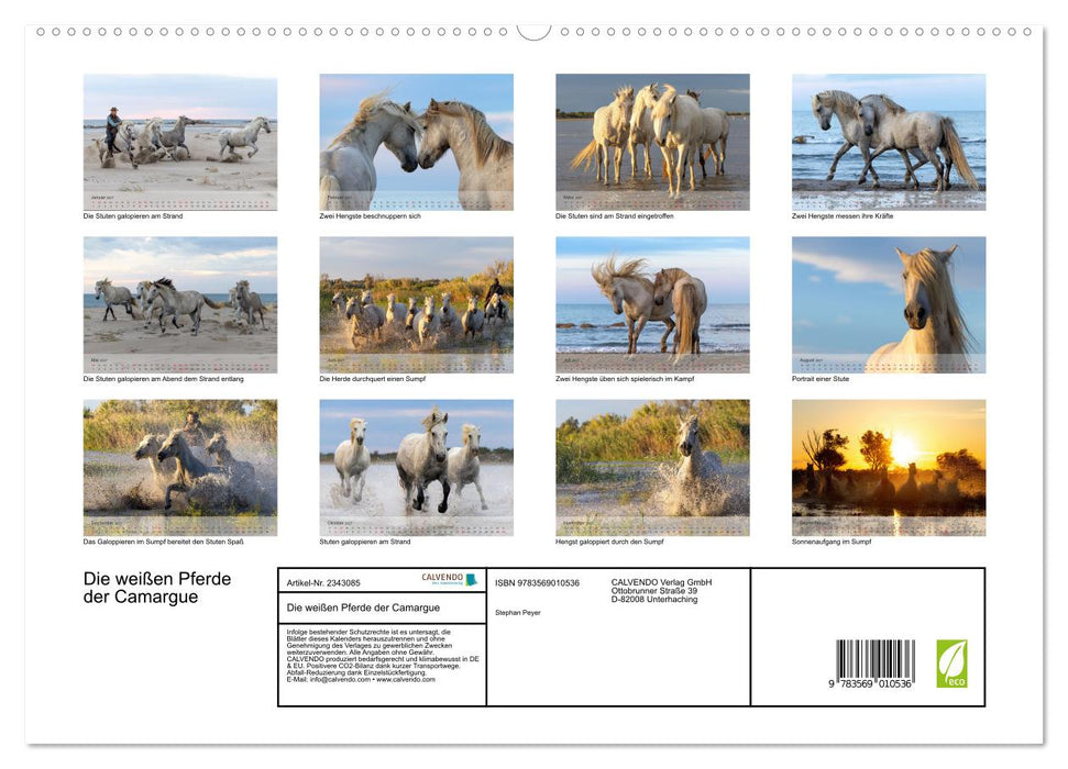 Die weißen Pferde der Camargue (CALVENDO Premium Wandkalender 2027)