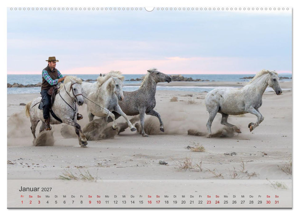 Die weißen Pferde der Camargue (CALVENDO Premium Wandkalender 2027)