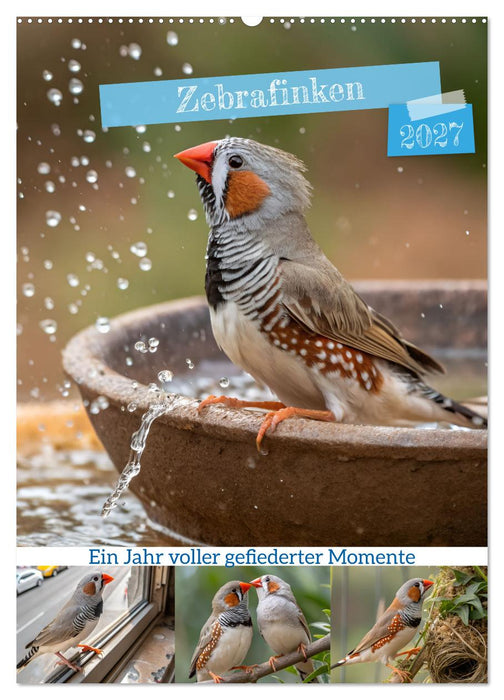 Zebrafinken - Ein Jahr voller gefiederter Momente (CALVENDO Wandkalender 2027)