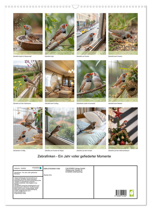 Zebrafinken - Ein Jahr voller gefiederter Momente (CALVENDO Wandkalender 2027)
