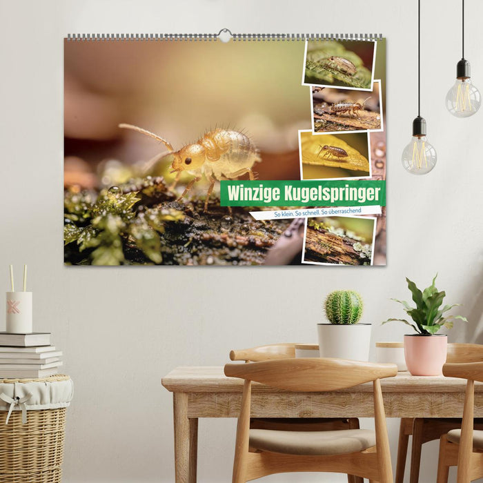 Winzige Kugelspringer (CALVENDO Wandkalender 2027)